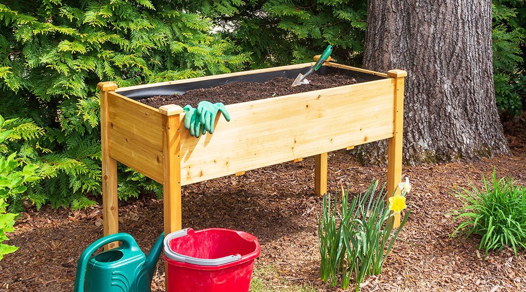 How To Start A Raised Bed Garden, Steps To Making A Raised Garden Bed