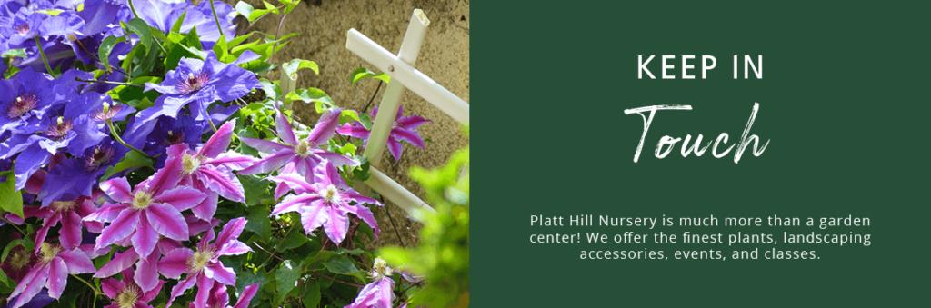 Platt Hill Nursery - Support structures for your garden newsletter subscribe button