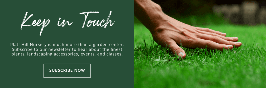 Platt Hill Nursery - spring lawn care checklist newsletter subscribe